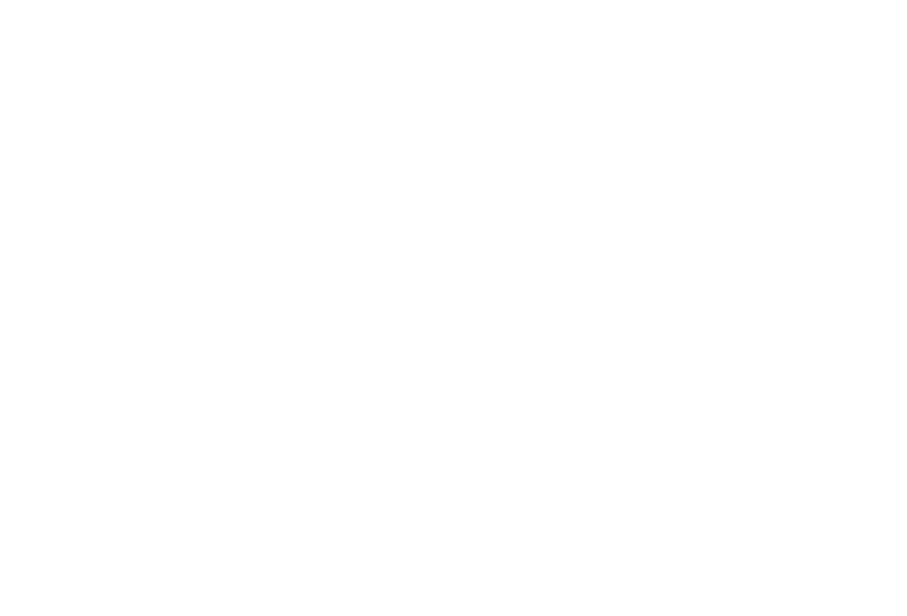 Mever (Основа)